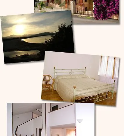 Siotto Holiday